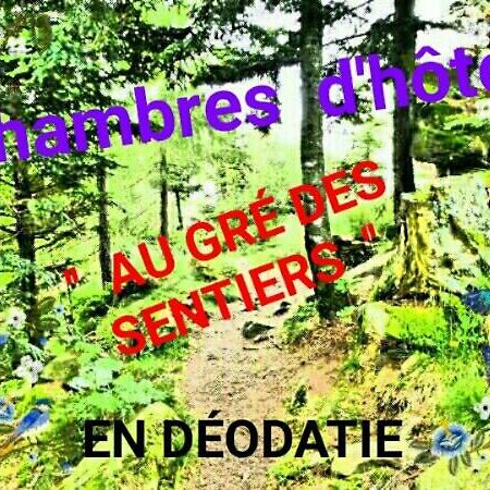 Au Gre Des Sentiers Chez Marie Et Pierre Bed & Breakfast Saint-Die-des-Vosges Bagian luar foto