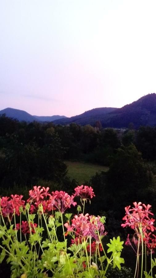 Au Gre Des Sentiers Chez Marie Et Pierre Bed & Breakfast Saint-Die-des-Vosges Bagian luar foto