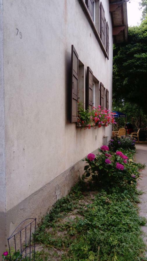 Au Gre Des Sentiers Chez Marie Et Pierre Bed & Breakfast Saint-Die-des-Vosges Bagian luar foto