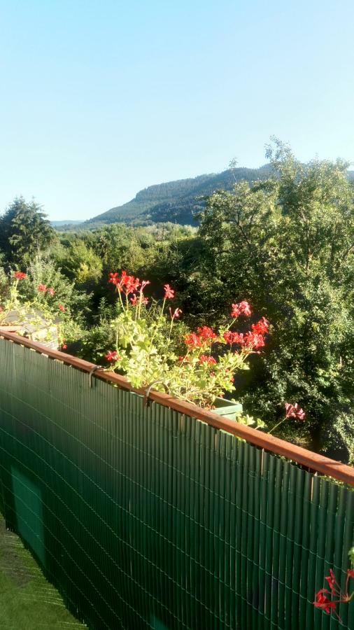 Au Gre Des Sentiers Chez Marie Et Pierre Bed & Breakfast Saint-Die-des-Vosges Bagian luar foto