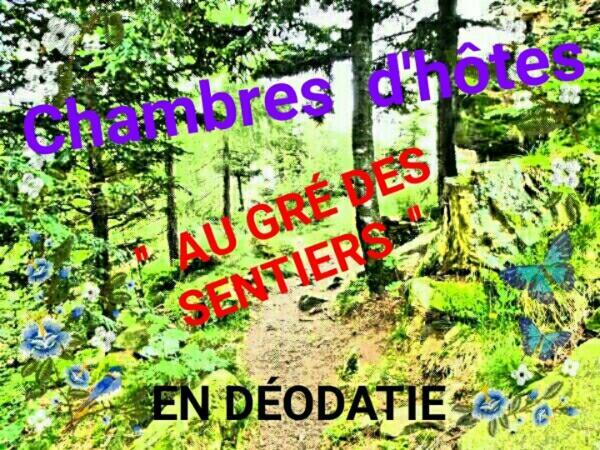 Au Gre Des Sentiers Chez Marie Et Pierre Bed & Breakfast Saint-Die-des-Vosges Bagian luar foto