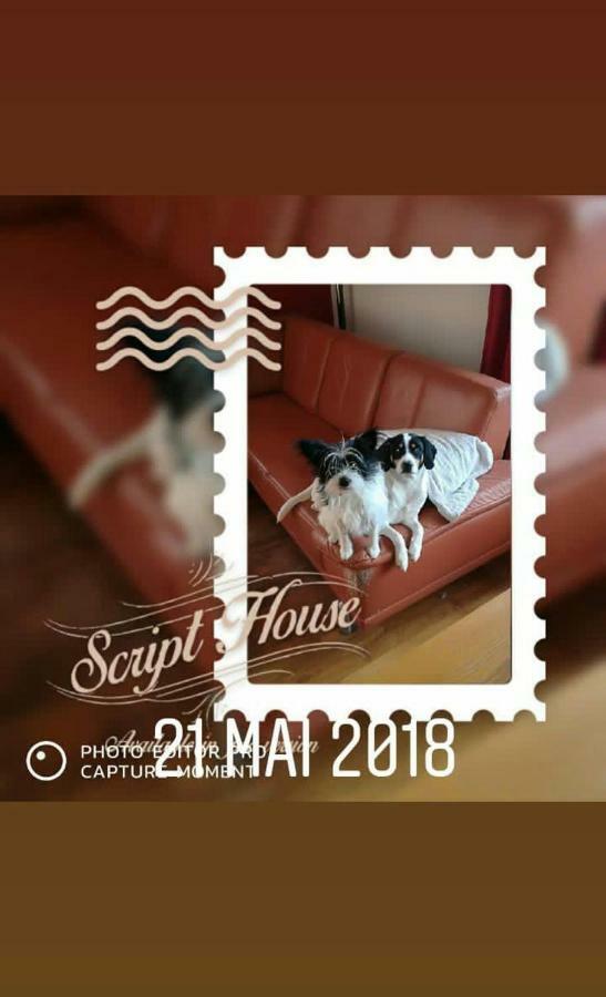 Au Gre Des Sentiers Chez Marie Et Pierre Bed & Breakfast Saint-Die-des-Vosges Bagian luar foto