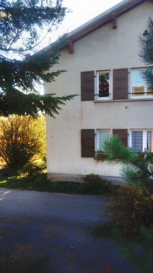 Au Gre Des Sentiers Chez Marie Et Pierre Bed & Breakfast Saint-Die-des-Vosges Bagian luar foto